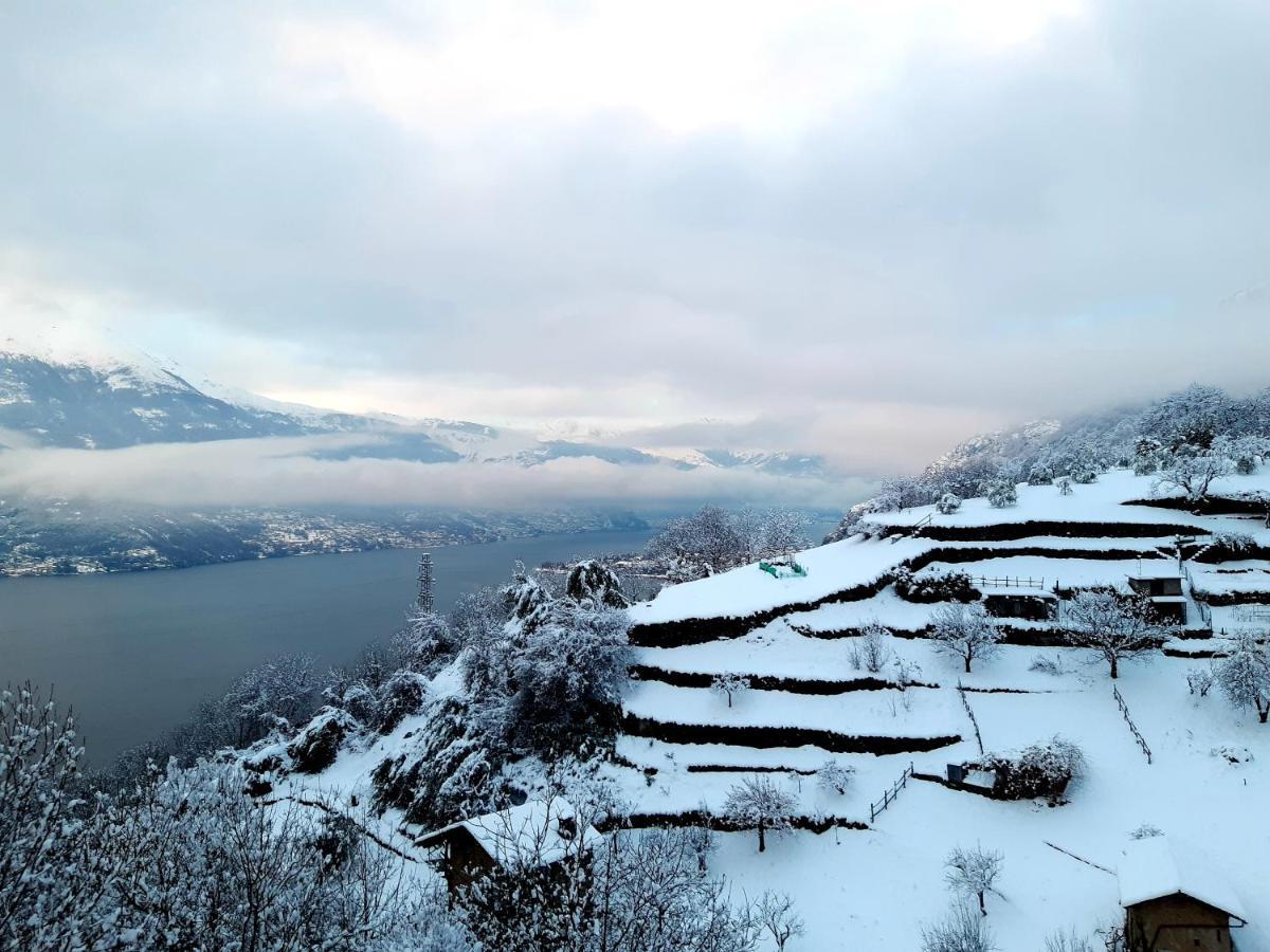 Casa Vacanze Dell'Artista On Como Lake 벨라노 외부 사진